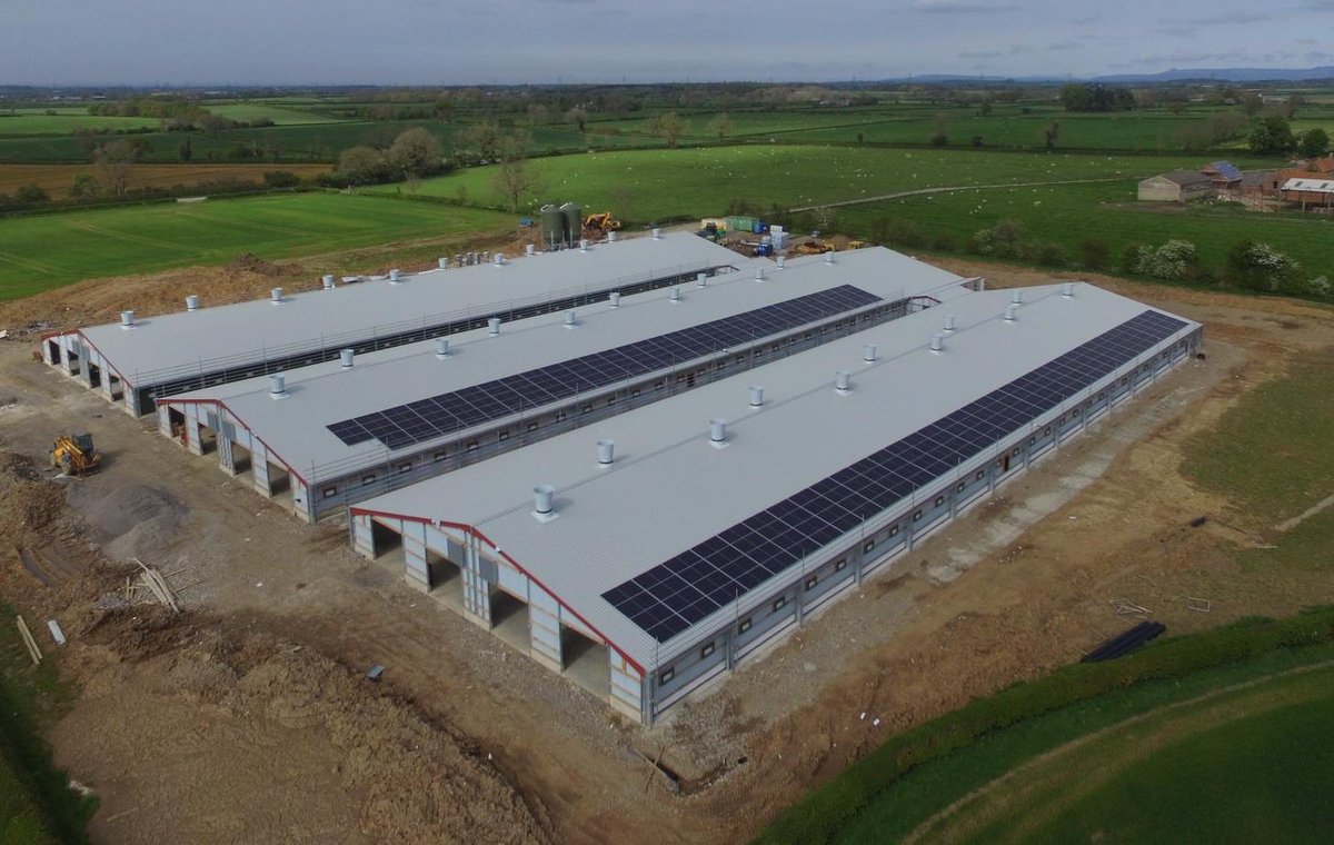 Coming along nicely, a bit more dry weather would be appreciated for a couple of months 🐔 🐣