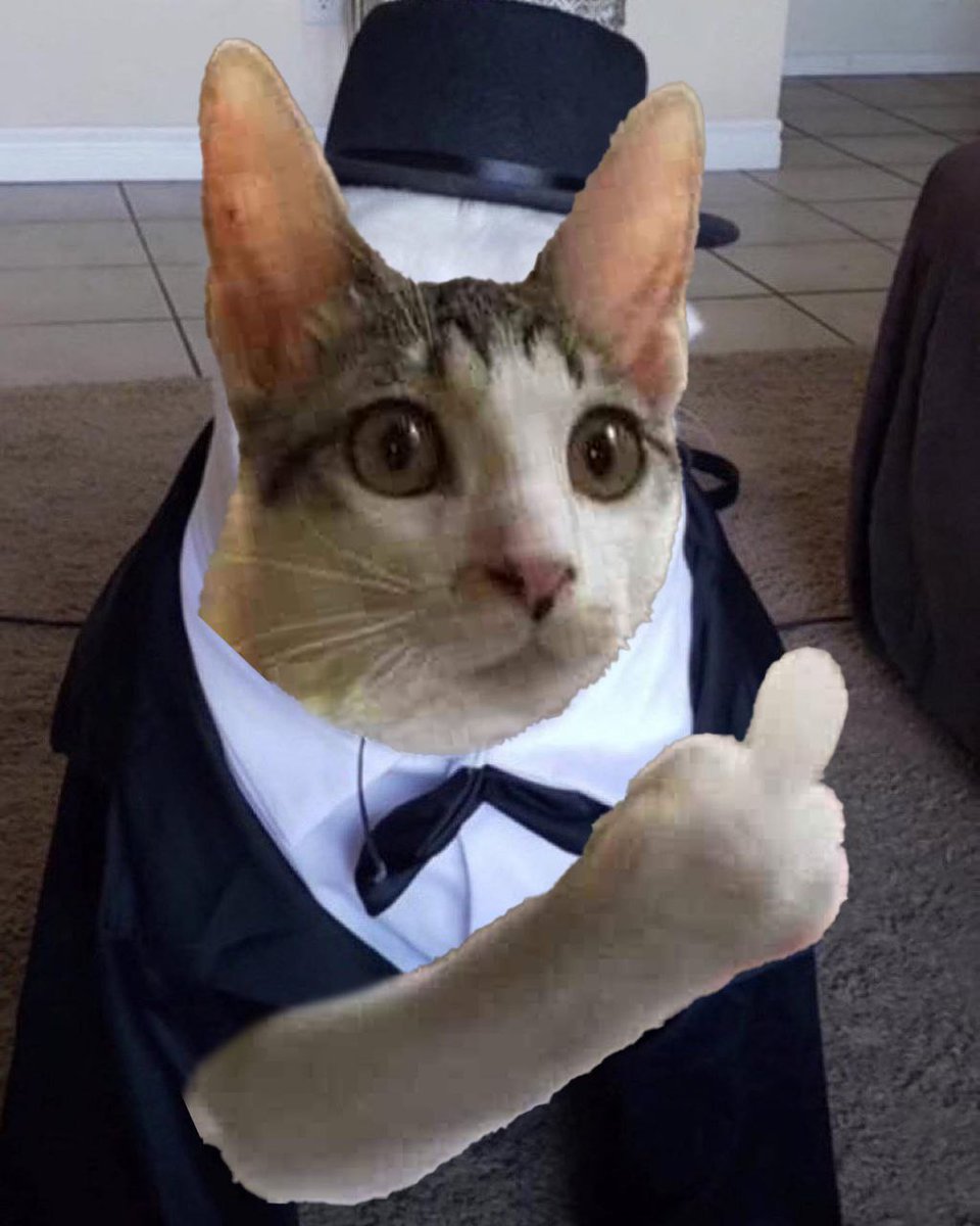 A_r_i_aaaa's tweet photo. @Killabear24 @Skelhorn @RockyCoinBase #FLIPCAT the flip master flipping all cat coins with style and potential 🖕😾 @FlipcatOnSol

hmmjxrp72i6p65r9brcvta1fcyshjbriq9n1dkg6ecrr https://t.co/elzmiHpSA6