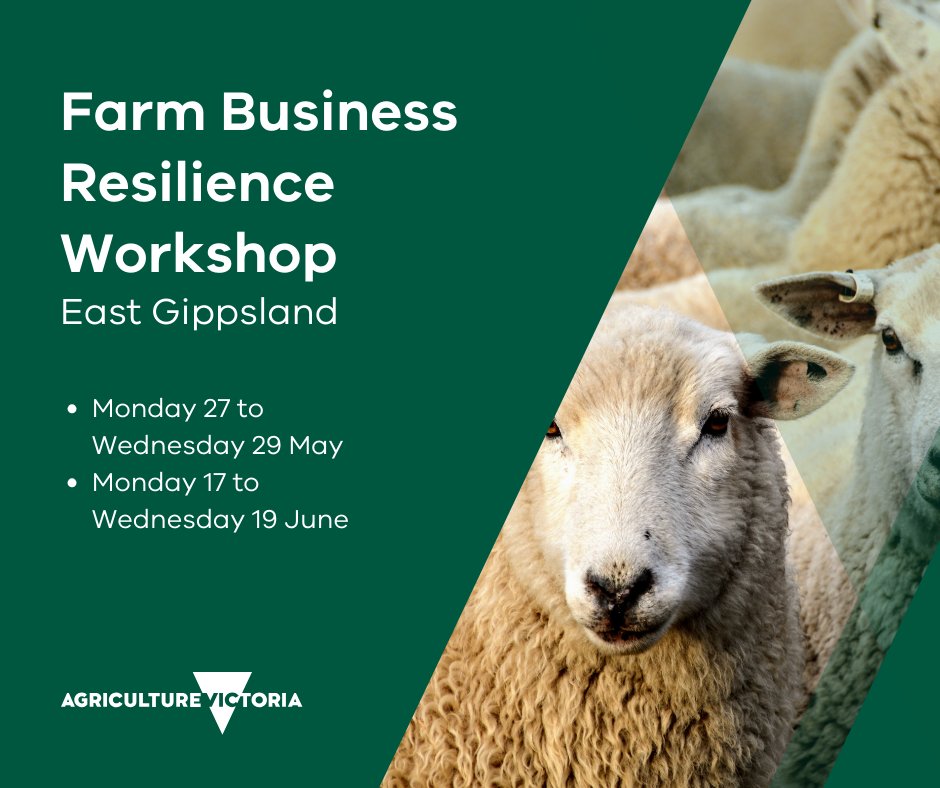 🐑 Register now for our Farm Business Resilience Program workshops. These sessions are designed to better equip farmers to manage the impacts of drought and a changing climate for their farm businesses. Register for the East Gippsland sessions here: forms.office.com/r/CugT2Y9Qqg