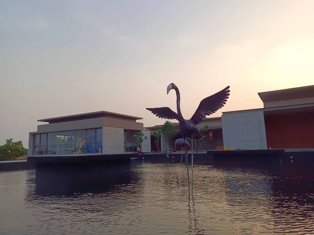This stunning sculpture on the waterbody across the ward, for end of life patients at Bagchi Karunashraya Palliative Care Centre, was built by ITI Bhubaneswar. Symbolsing the flight of the soul , of migration. Just  as the birds of the beautiful Chilka.