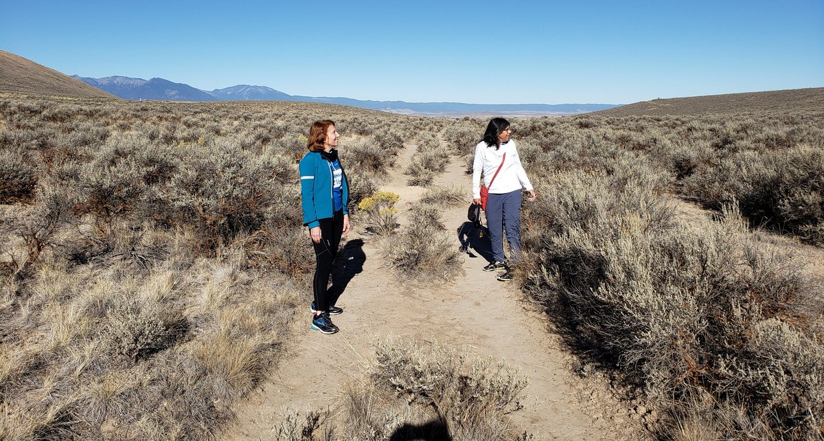 Dan_Shryock's tweet photo. These are wagon ruts along the Oregon Trail, created during America's mass migration of the 1800s. Yes, you can walk in the ruts. Find the Oregon Trail by car or bike in my new book, "Cycling Across Oregon." Available at https://t.co/NFkOT1adao
#cycleoregon #oregontrail #cycling https://t.co/suqNEew73N