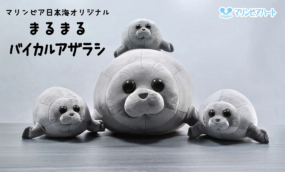 新潟市水族館マリンピア日本海PR【公式】 on X: 