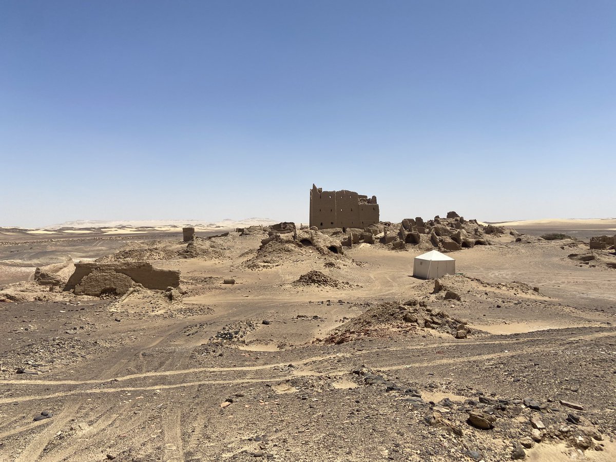 Here we are 🤠! The 2024 excavation campaign @polimi at Umm al-Dabadib (Kharga Oasis., Egypt) started greatly 🏜️😉