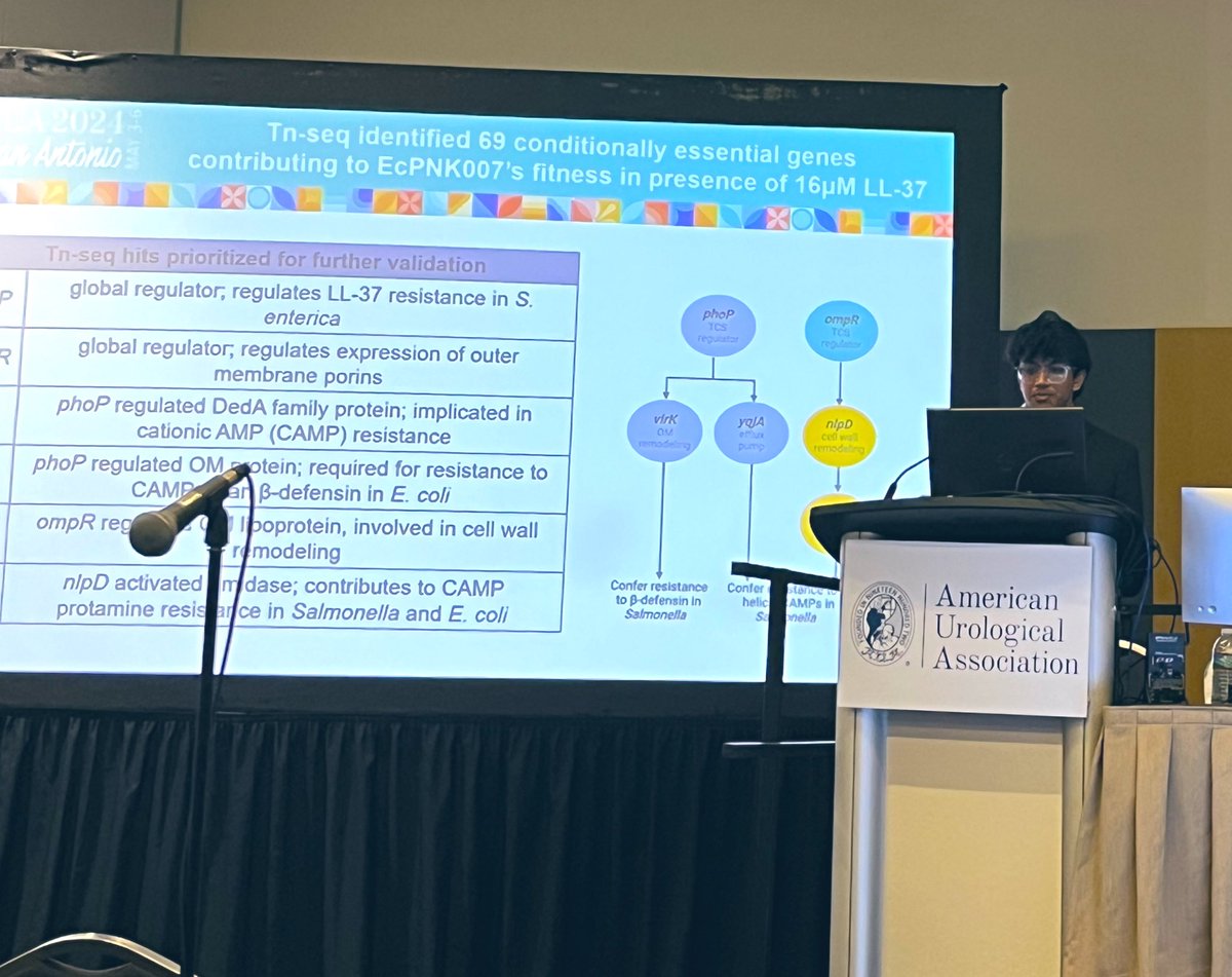 So proud of <a href="/UT_Dallas/">UT Dallas</a> undergrad Swami Sadanala giving a podium presentation of his research at the #AUA2024 annual meeting in San Antonio!! Thank you <a href="/AmerUrological/">Amer. Urol. Assn.</a> for highlighting young scientists!! #ProudPI <a href="/UTDResearch/">UT Dallas Research and Innovation</a>