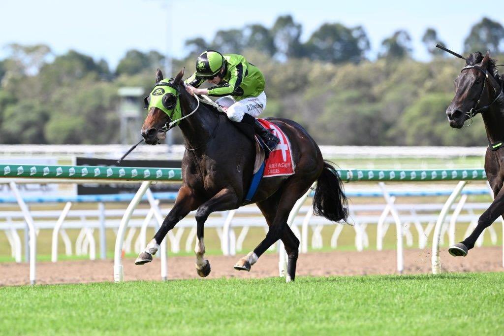 High Calibre Racing tweet media