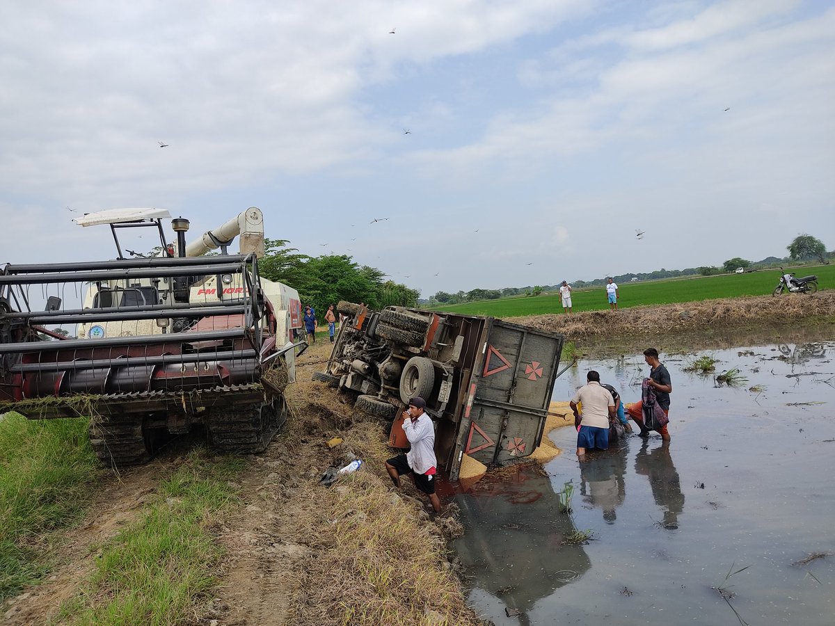 Apoyo a las comunidades rurales. El Estado brindará a los agricultores y a las comunidades rurales apoyo para la conservación y restauración de los suelos, así como el desarrollo de prácticas agricolas q los protejan y promuevan la Soberanía Alimentaria <a href="/marcelaguinaga/">Marcela Aguiñaga</a> 
#oriele