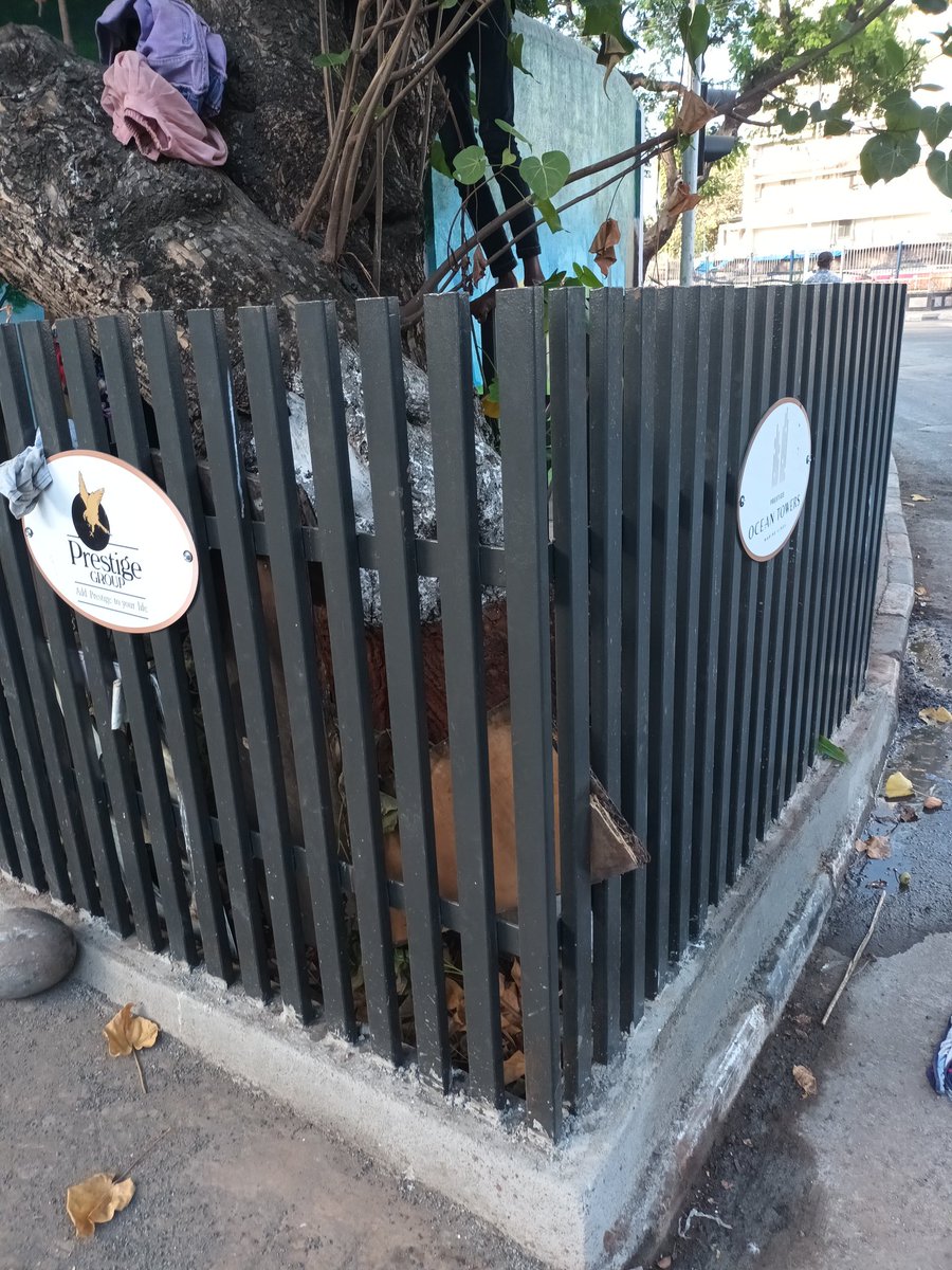 NIRANJANSANE1's tweet photo. @mybmc @mybmcWardC @Dev_Fadnavis @mieknathshinde @prestigegroup @AGSawant Newly built structure to protect our Mumbai trees converted into permanent storage facility. Just outside Ocean Tower charni road / next to thakurdwar petrol pump / opp. Charni road railway station east https://t.co/8mMDzHMEGZ