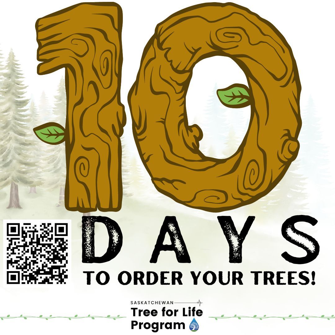 SAW is a non-profit, non-government organization working in the province - we are fundraising! For info visit buff.ly/3iLIJJW
 
The Tree for Life Program is accepting orders until May 17, 2024 – while supplies last!
 
#UrbanPlanning #Saskatchewan #SaskAg #treesale