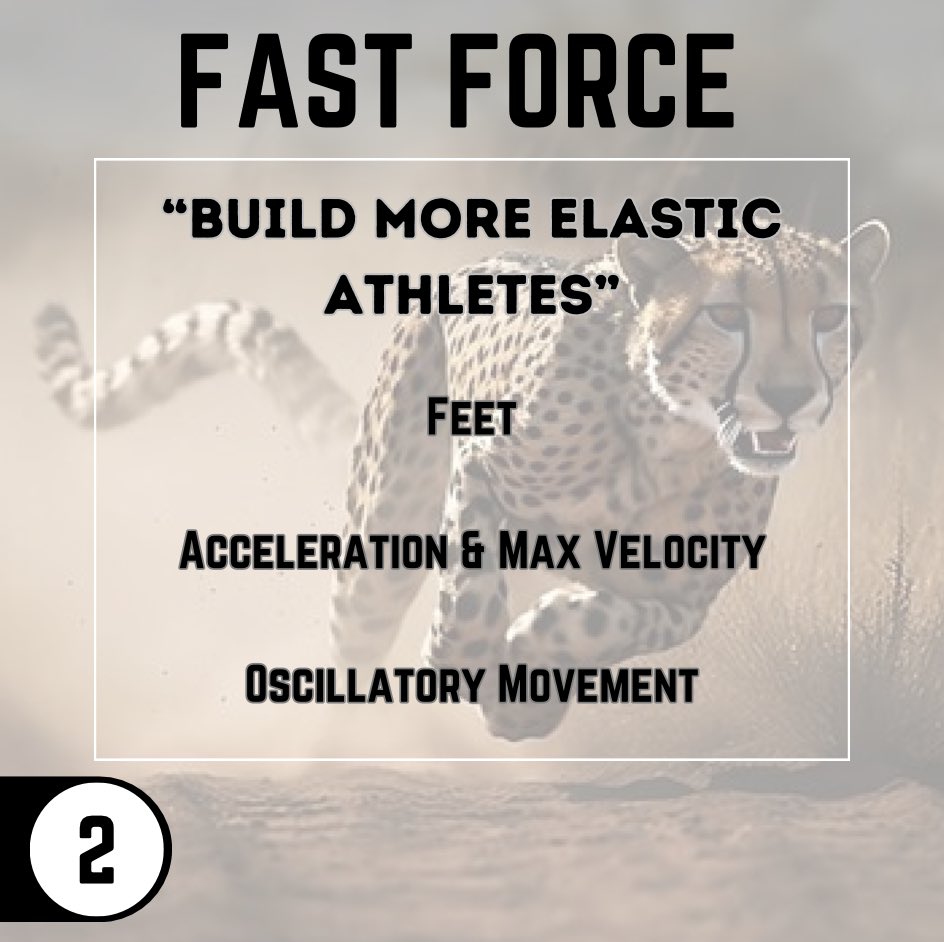 Huntereis_sc's tweet image. High Force 💣 
Fast Force 🐆 
•
#TheForceSystem