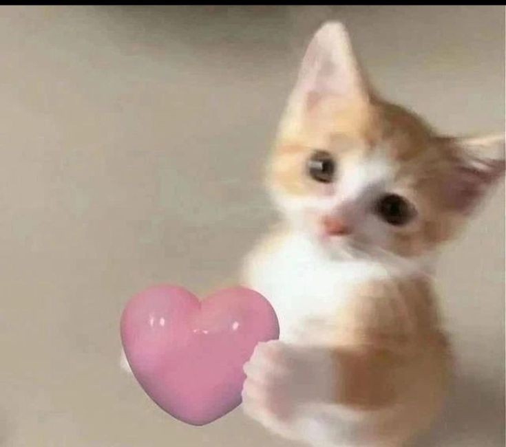 Slimeysenpaii's tweet photo. Not new to NsfwTwt just new pinned old was outdated #nsfwtwt #nsfw_twt
21 years old
-Dom
-Straight
-6'1
-He/Him
-If anyone ever needs to talk to someone I'm there
♥️&amp;🔁 To be moots
Youre beautiful ❤️ https://t.co/IDrGVPSFb9