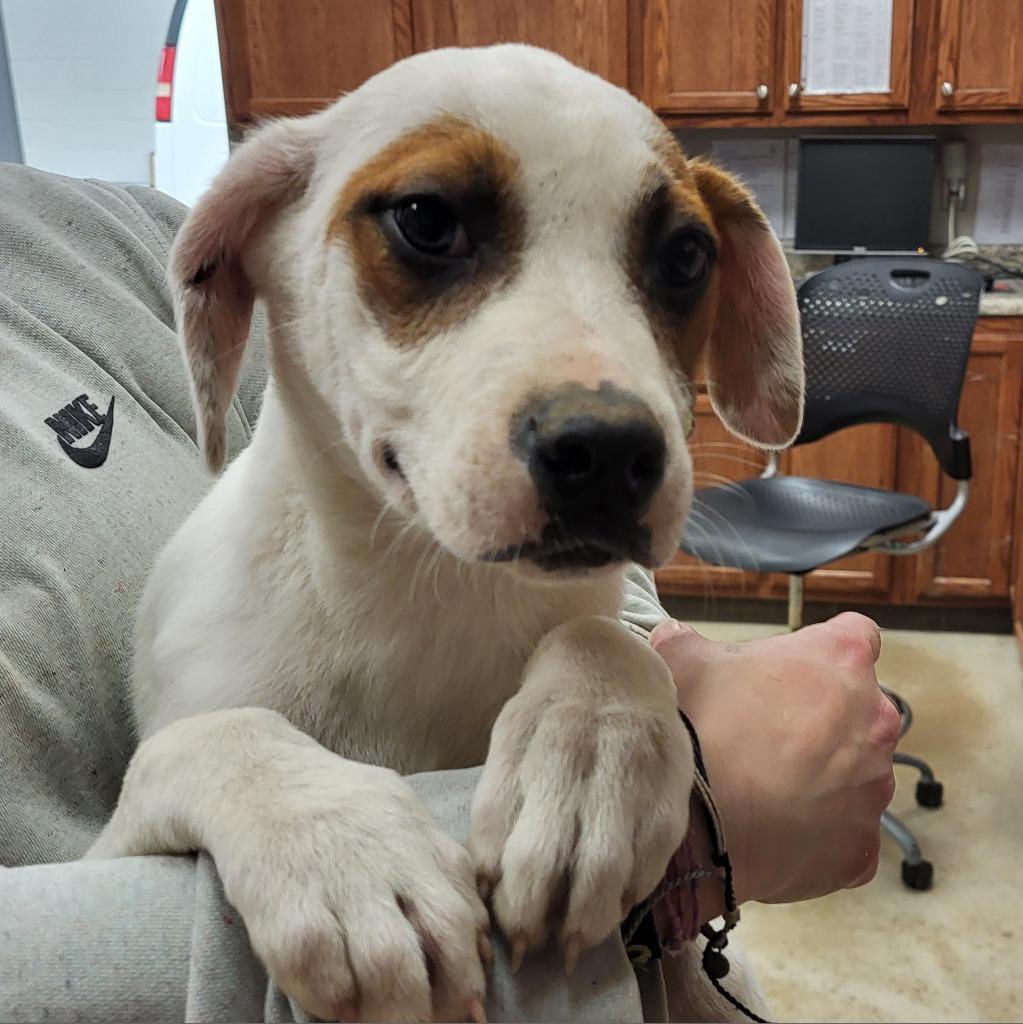 Amanda (JanuaryMolassesASMR) tweet media