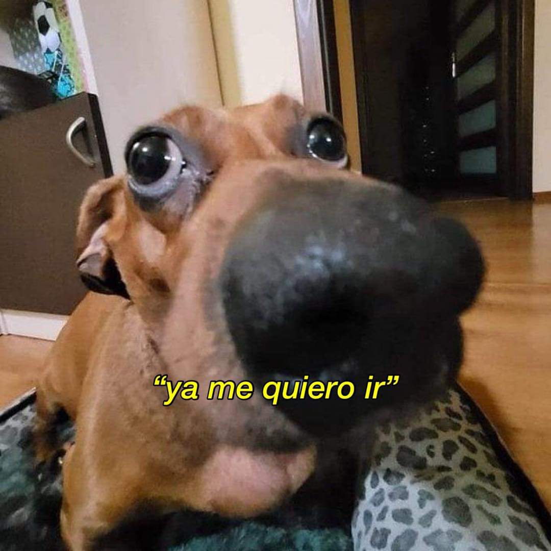 Cuando estoy en un lugar donde hay muchas personas: