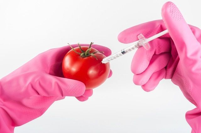 Most of you eat genetically modified food if you eat processed foods or non-organic forms of some vegetables. Find out about them and if you are actually eating them in your diet! healthy-diet-habits.com/genetically-mo… #GMO #GMOs #GeneticallyModifiedFood #ProcessedFoods #NonOrganicFood