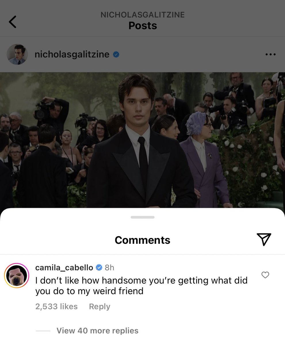 acdhollanov's tweet photo. just saw camila cabello’s comment on nick’s instagram post… “what did you do to my weird friend” 😭 https://t.co/GyEUJUWycy