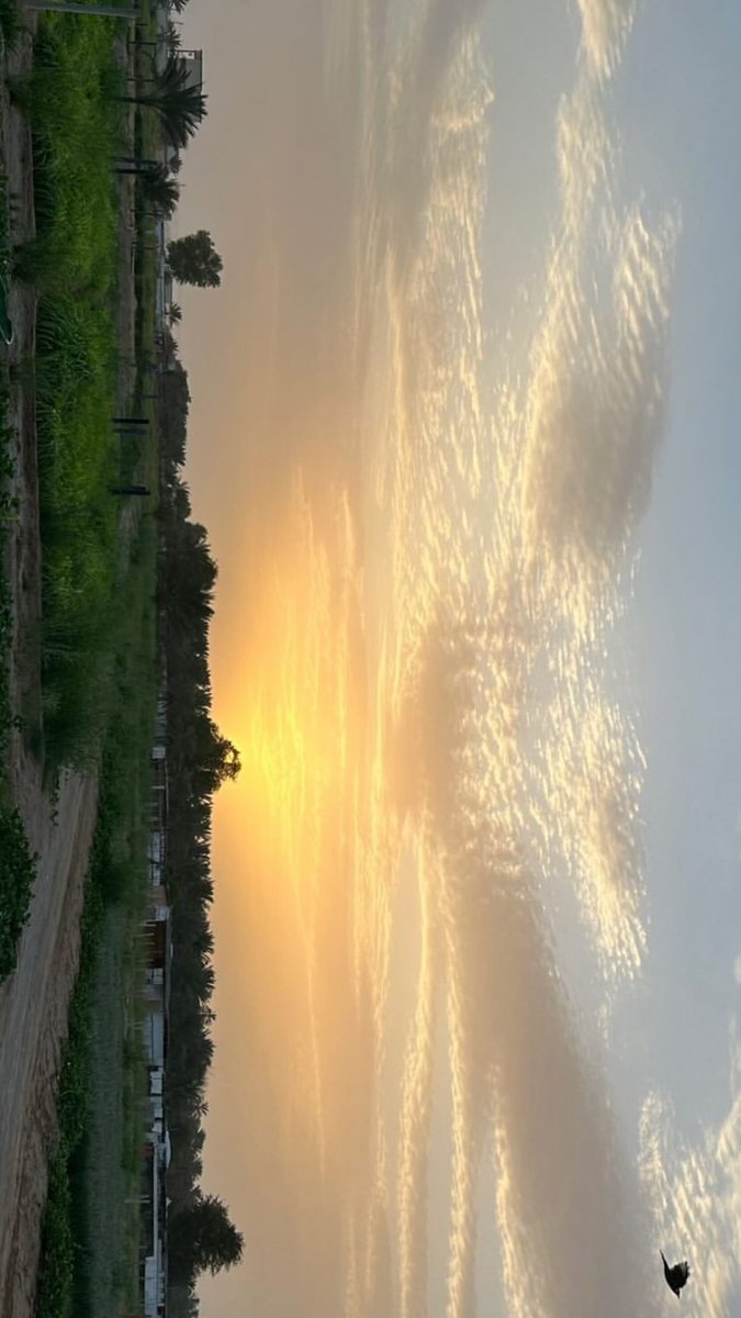 _wrln's tweet image. صباح الخير  . ⛅