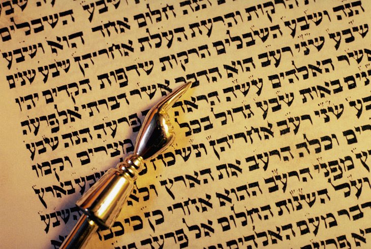 barefoot rabbi tweet media