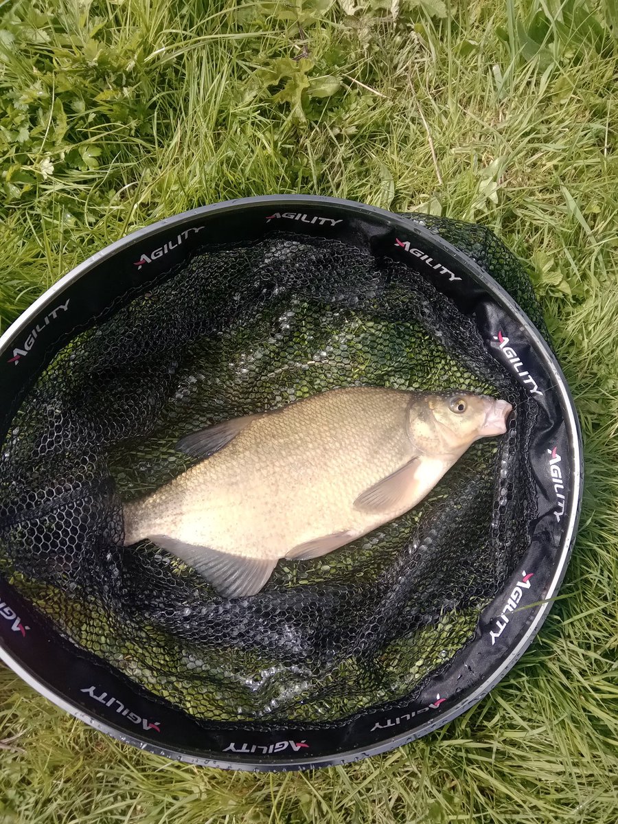 #canal #fishing #ukcanalfishing #bream