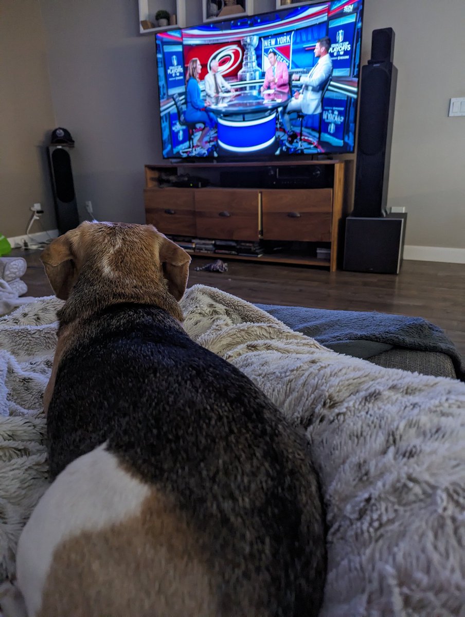 M_yap's tweet photo. In our house even the dog loves watching hockey! https://t.co/lsSFw6869A