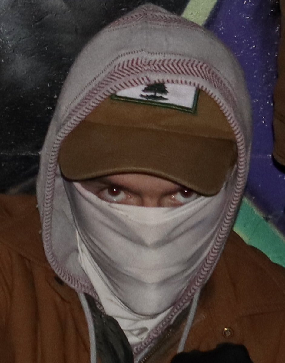 Meet Nicholas Morrell of the Michigan cell of Patriot Front who was