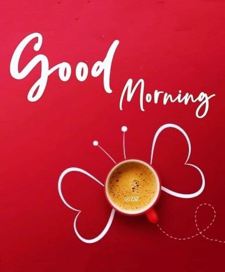 Good Morning
X family members