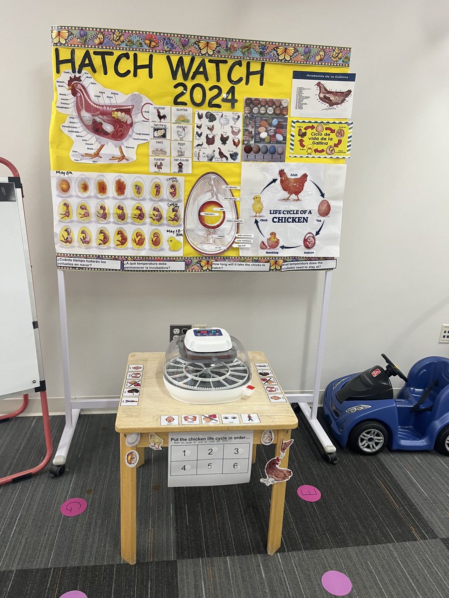 Dr. Katie McCluskey (@kmccluskey4) on Twitter photo Oh the fun in pre-K today! We are going to need bigger windows because their kindness window is overflowing!Classroom after classroom the students were engaged in significant learning and there is a buzz of excitement about what will be hatching in pre-K!💙<a href="/BensenvilleD2/">Bensenville Dist 2</a> Oh the fun in pre-K today! We are going to need bigger windows because their kindness window is overflowing!Classroom after classroom the students were engaged in significant learning and there is a buzz of excitement about what will be hatching in pre-K!💙<a href="/BensenvilleD2/">Bensenville Dist 2</a>
