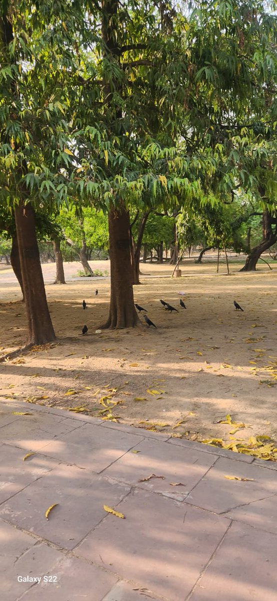 Koyalgeetkaur's tweet photo. @MCD_Delhi @SwachhBharatGov @LtGovDelhi @GyaneshBharti1 More pics https://t.co/lQ7DHF0xRR