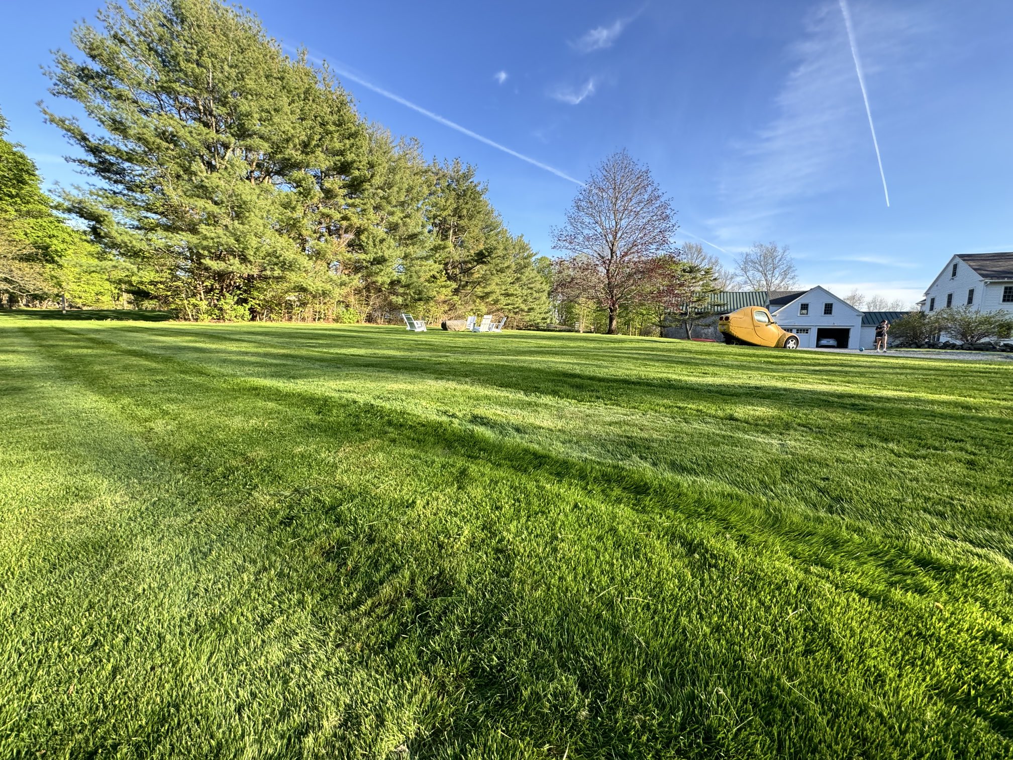 First mow of spring hotsell