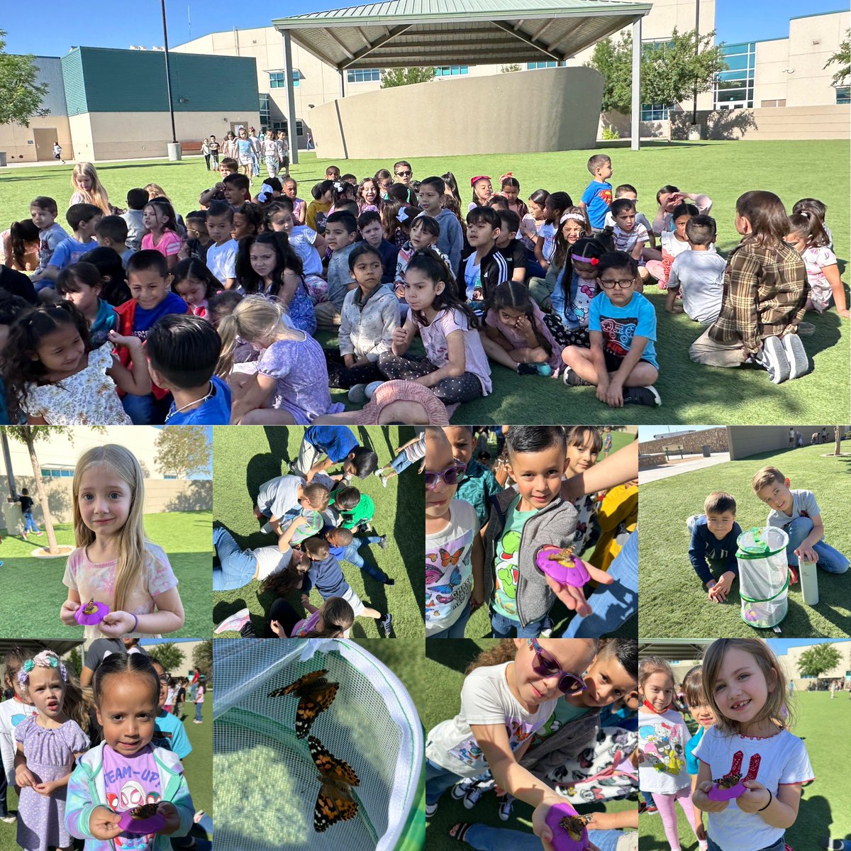 Released our butterflies today after experiencing their FULL life cycle! Might be one of my favorite moments as an educator so far 🦋 🌵#CactusMakesPerfect #TeamSISD