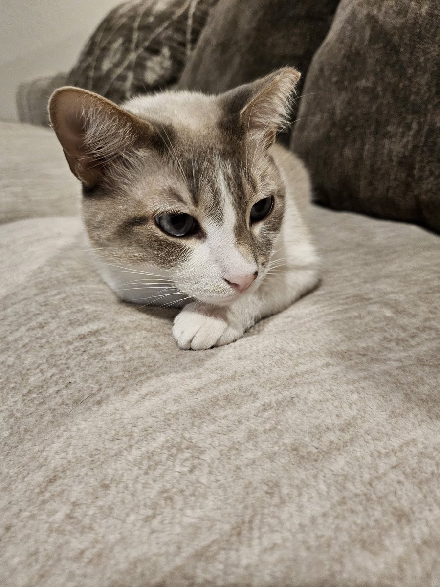 🌸ᵐᵃʳᶦ🌸 tweet media