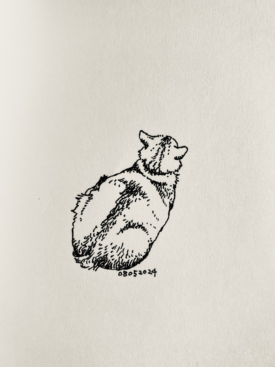 朝からいっぱい描いた