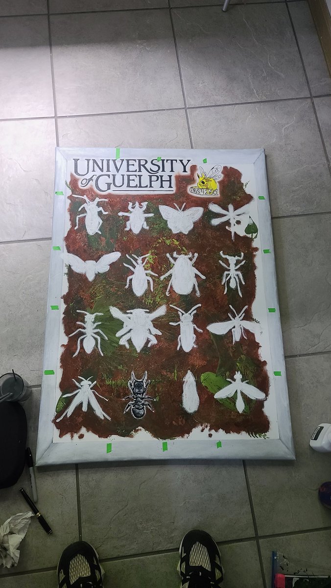 Entobird 🐜 (@entobird) on Twitter photo Everyone that visits the station gets to make a mural (canvus due to lack of space) of their time. A student had a great idea to make an insect pinning box with each person represented as an insect! I chose a turtle ant (Cephalotes: I feel like <a href="/CorrieMoreau/">Dr. Corrie Moreau</a> would be proud 🥰🐜) Everyone that visits the station gets to make a mural (canvus due to lack of space) of their time. A student had a great idea to make an insect pinning box with each person represented as an insect! I chose a turtle ant (Cephalotes: I feel like <a href="/CorrieMoreau/">Dr. Corrie Moreau</a> would be proud 🥰🐜)