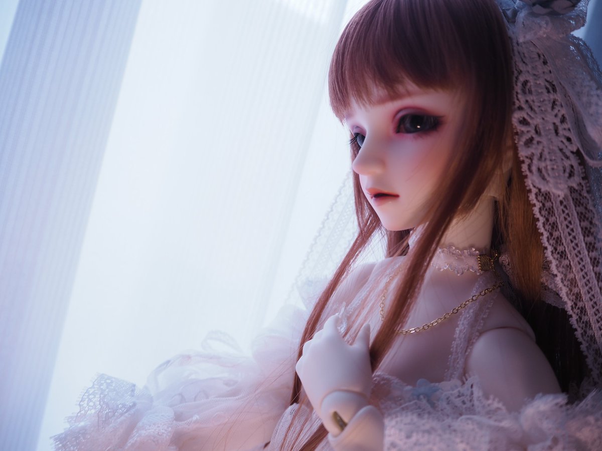 kumanodonuts's tweet photo. とっても大切で愛おしいうちの子です🥰
#5月8日は58番の日
#5月8日なので58番のお写真下さい
#SD58
#うちの子かわいい https://t.co/27WJoMoqEP