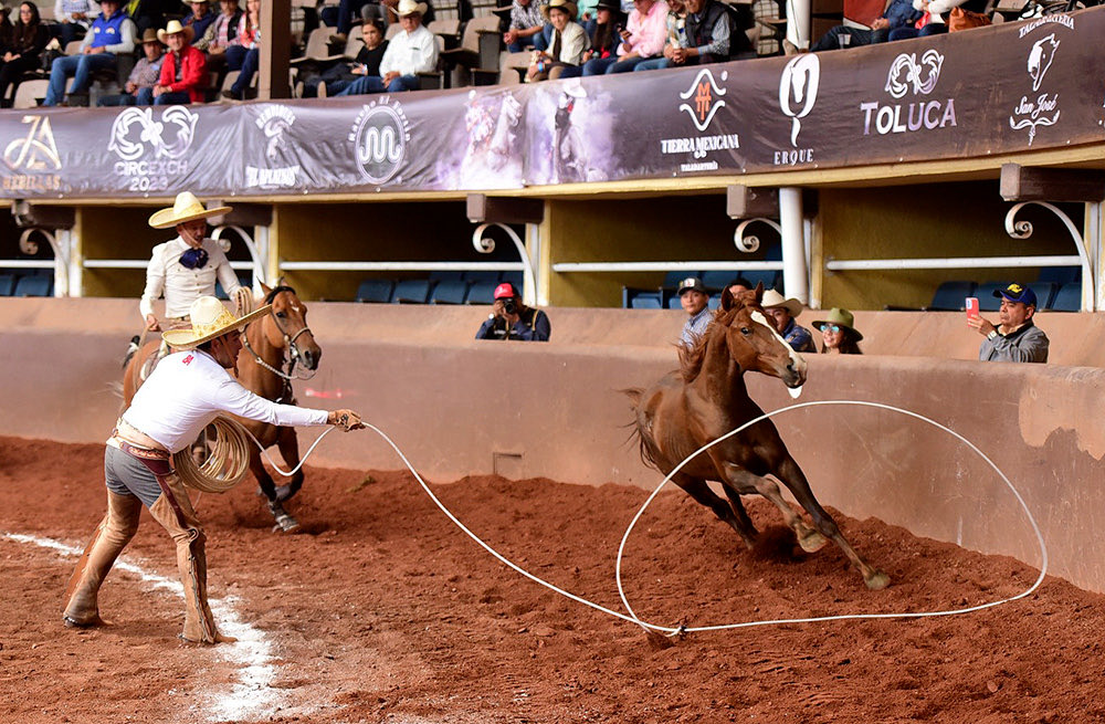 Circuito Excelencia Charra tweet media