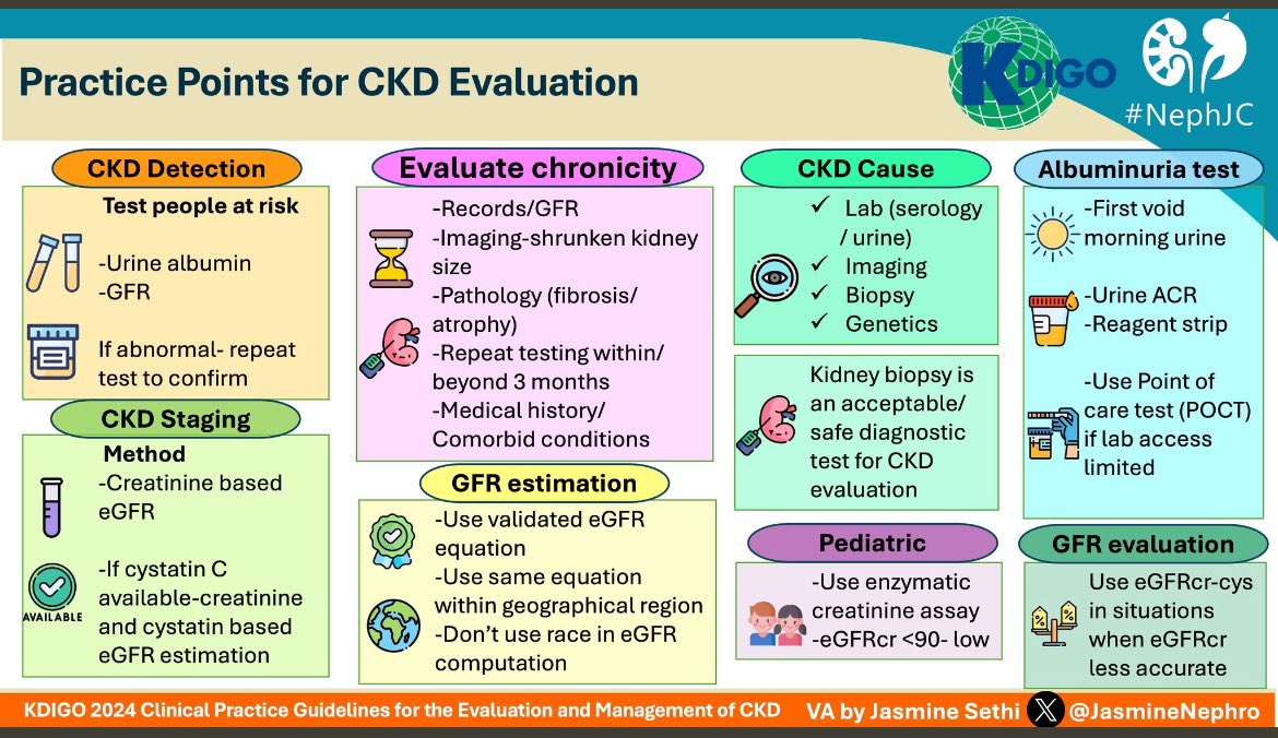 🫘🆕KDIGO 2024 CKD guidelines 👇 ✅Detect CKD-Based on GFR/Urine albumin test ⏰Chronicity-Shrunken kidney/Histology/duration>3 months 🧪Test urine albumin-First morning void urine 🫘Point of care tests can be used for ACR 🤩Check out the infographics made by me…