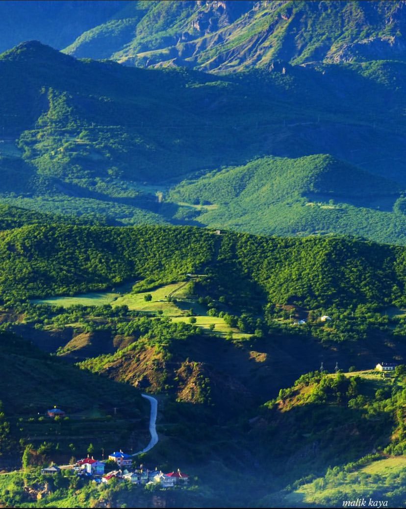 En İyi Yananlar Eski Odunlar, En Güzel İçilenler Eski Şaraplar, En Güvenilen Kimseler Eski Dostlar, En Rahat Okunanlar İse Eski Yazarlardır. Francis Bacon #Günaydın dostluğa... ☕️💙🍀🦋🙏🌹 #Çarşamba