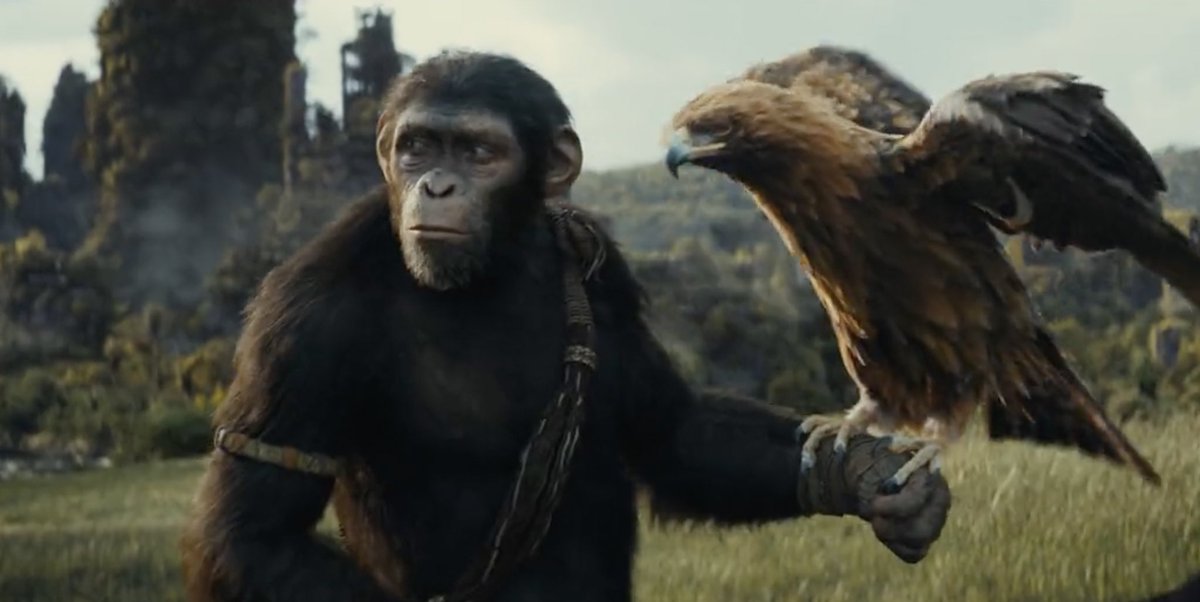 The Apes reboots were never my thing and KINGDOM OF THE PLANET OF THE APES did nothing to change that. The tone remains so absurdly self-serious, I can never lock into it. Doesn’t help that the plot is a mishmash of watered-down ideas and moments from the superior original series