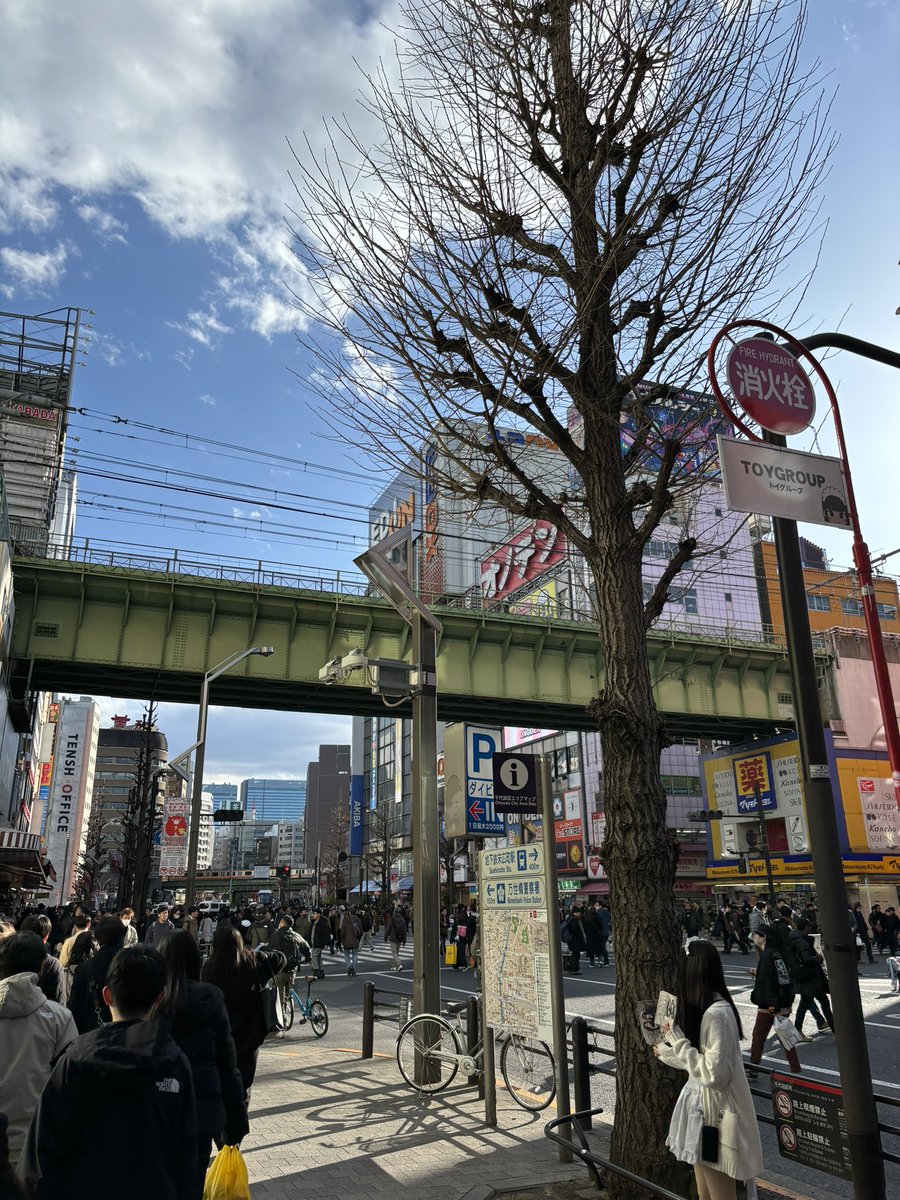 Akihabara, 2024