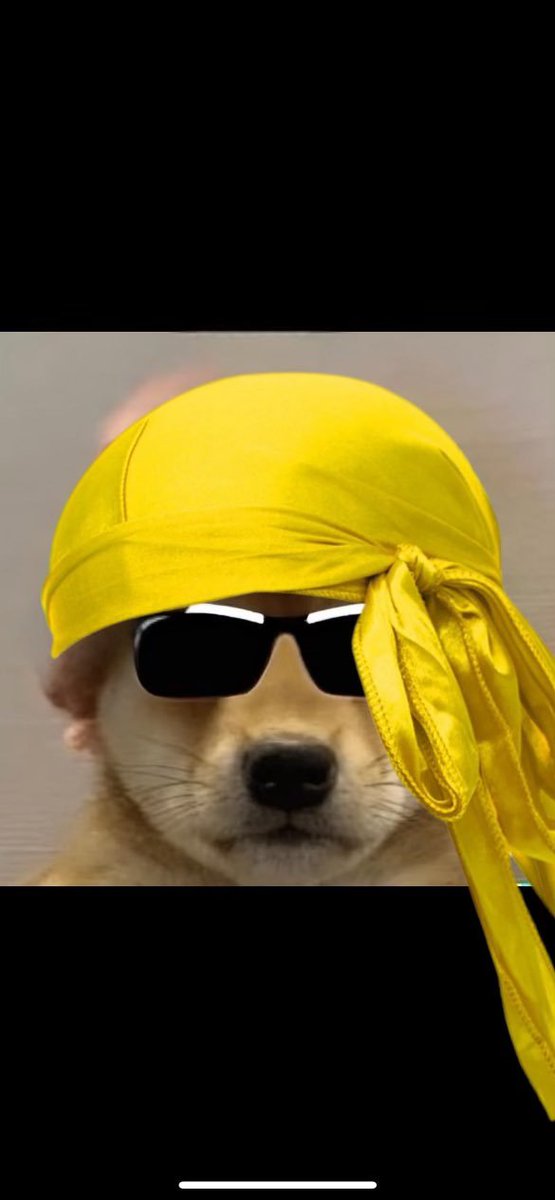 The ticker is $CWD 

community take over with cat meta and team burning hella tokens = moon incoming. Don't fade the next mooner. 

Twitter <a href="/catwifdurag_/">Cat Wif Durag</a>

The durag stays on

A3BAoDujAXUDZj4F8TwuDAeEcS448d4pUXQ823s7bdig

birdeye.so/token/A3BAoDuj…
