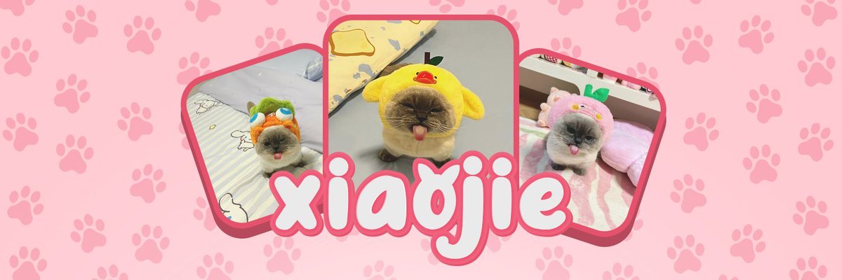 as I said before, I like everything cute, that's why I bullish on xiaojie, which is the world's cutest cat, ticker is $XIAO, in Chinese, it's 小

$XIAO 小 is going viral on TikTok and Instagram as the latest internet famous cat

its name is 小（little）, but it will be huge, lfg
