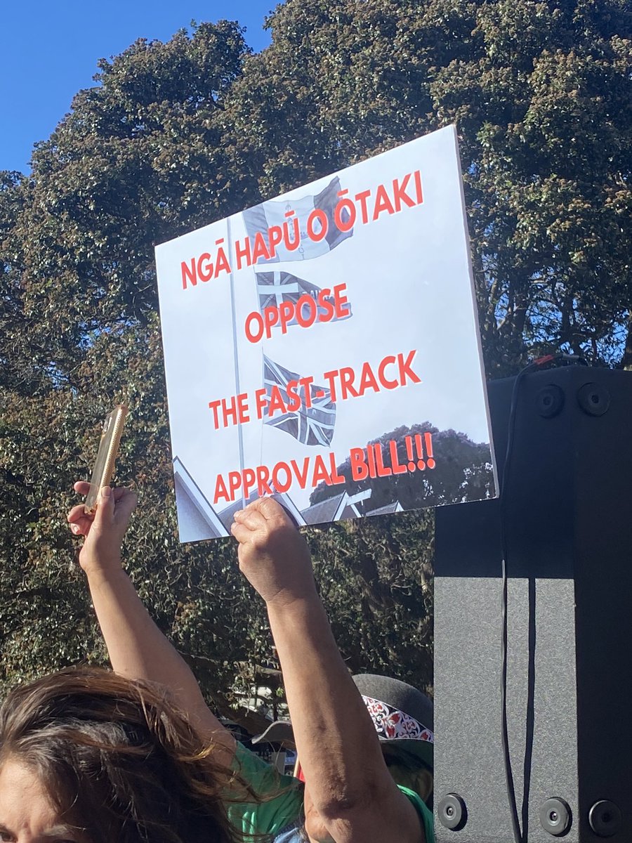 Proud to be able to walk with @naturevision on this hikoi and listen to Ngāti Toa calling on the government to rethink the fast-track bill - it undermines future generations, te taiao, te tiriti, democracy and is a #WarOnNature. @Forest_and_Bird