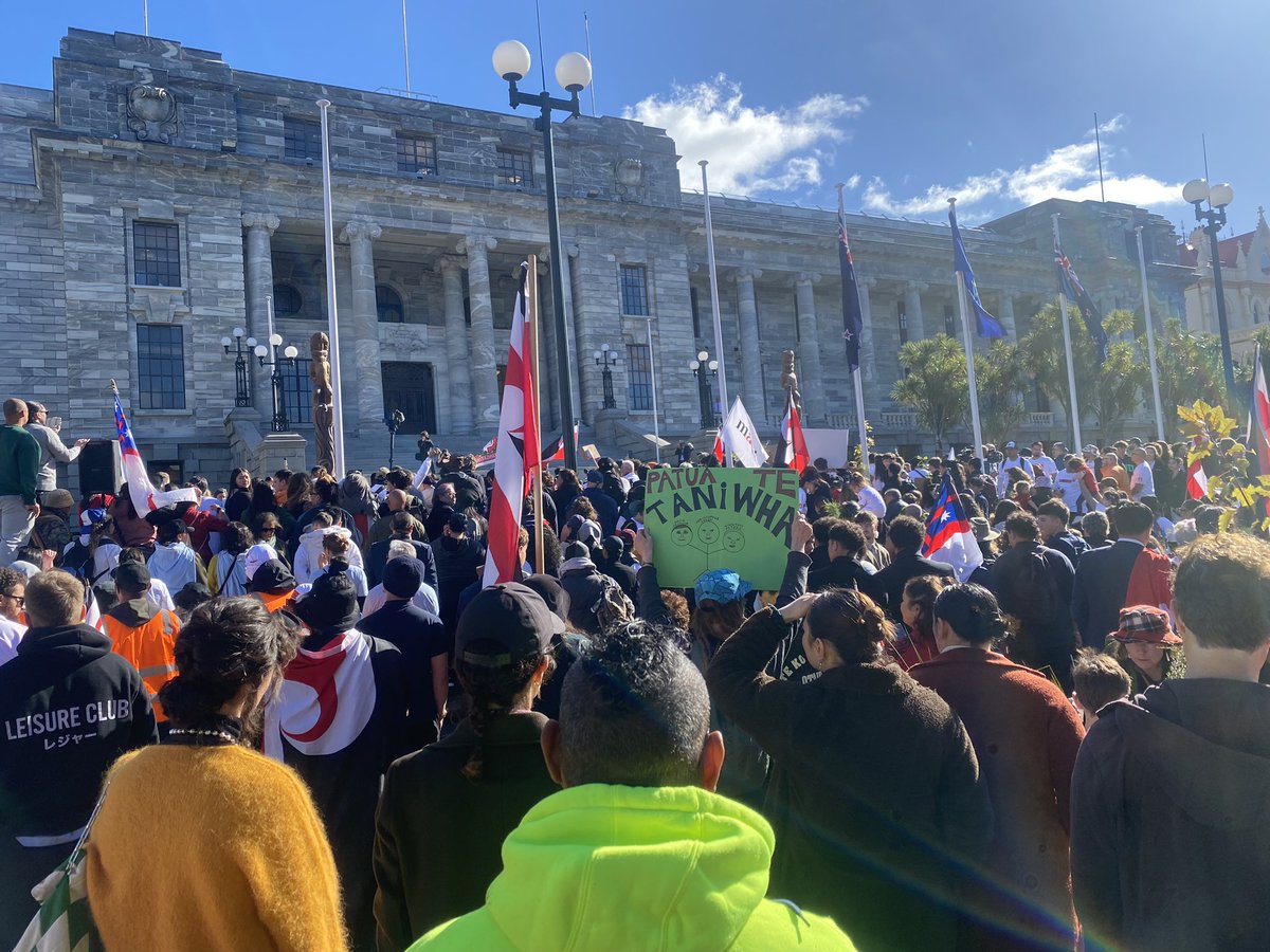 Today Ngāti Toa Rangatira have drawn a line in the sand on the fast-track bill - it undermines te tiriti, democracy, and will cause inter-generational environmental harm. #WarOnNature. @naturevision and @rcwellie proudly joining today’s hikoi