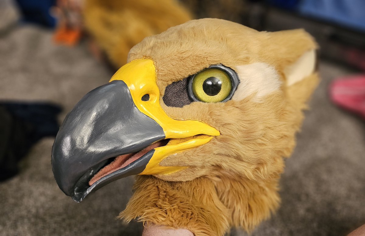 I have had this Bird over 9 years. I'd say after this con it's time for a full reFURbish! *>*