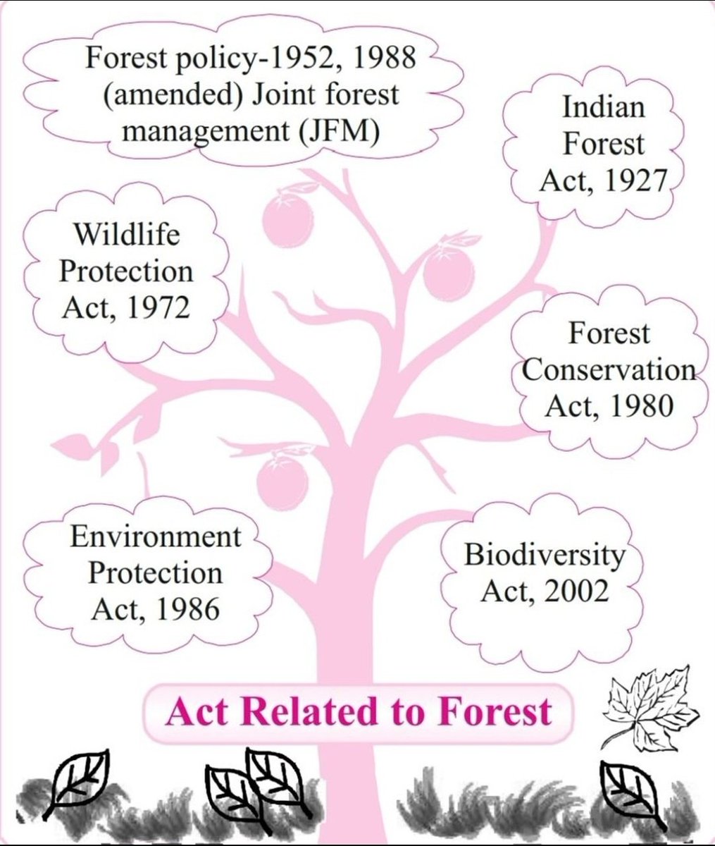 Acts related to Forest.