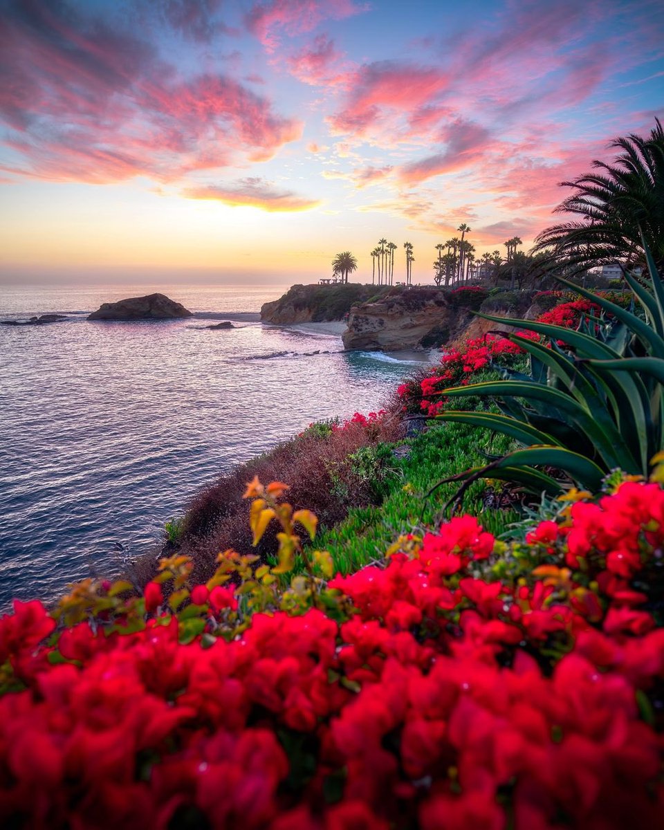 Laguna Beach, California 🌅

#GoodEveningEveryone