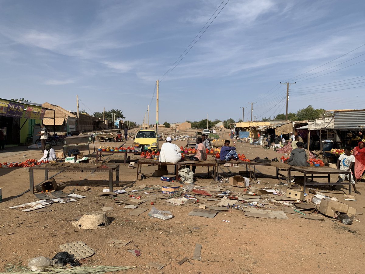 長期休みを利用してスーダン北部のカリマという都市を旅行した際のことです
公式サイトの時刻表を頼りに列車に乗ることを計画していましたが、実際に行ってみると既に廃線になっており、線路は砂に埋もれ、トマトマーケットが開かれていました