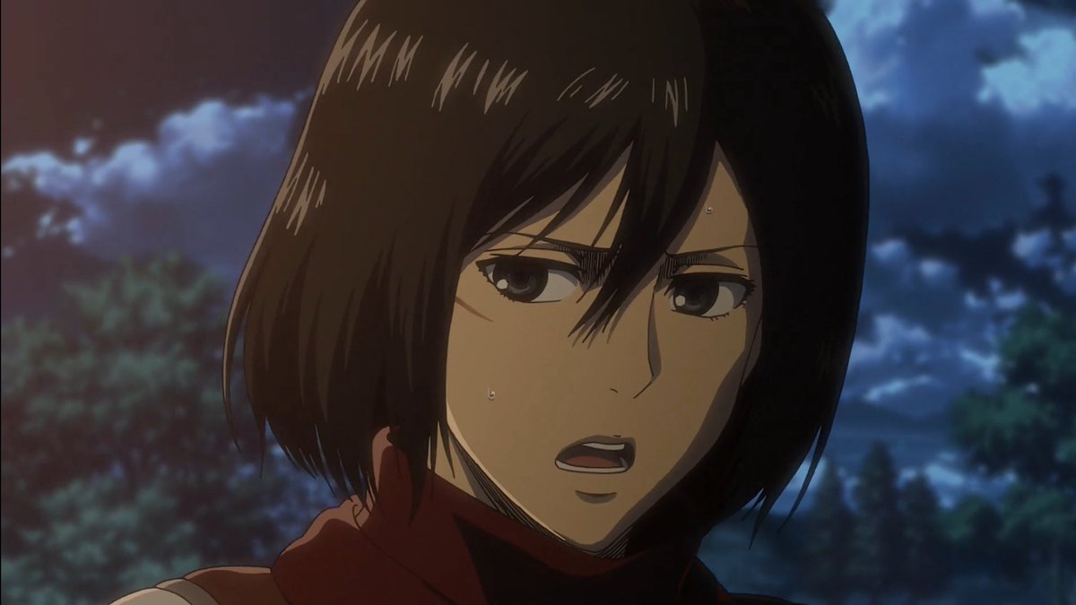 WIT Mikasa