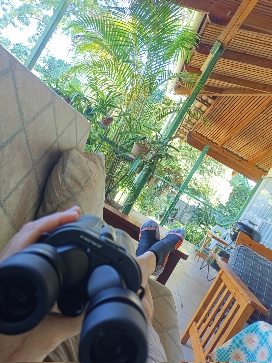 BestBinoReviews's tweet image. Who said #birding had to be #hardwork. #TakingItEasy with the #Opticron Imagic IS #16x42 #binoculars @opticronuk