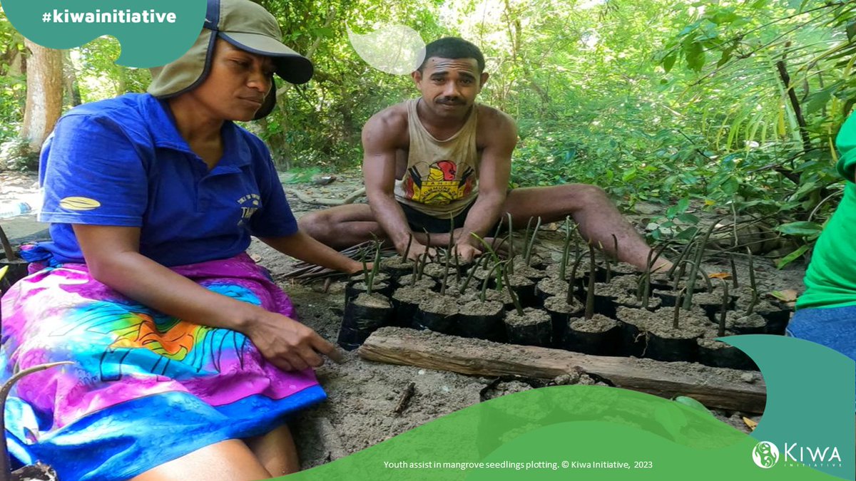 The @InitiativeKiwa, managed by IUCN, backs local projects in 11 Oceania nations, including #Fiji. Fiji's project, led by C3, focuses on biodiversity, mangrove restoration, and community awareness. 🇫🇯 bit.ly/4aNrPDY 🇪🇺🇨🇦🇫🇷🇦🇺🇳🇿