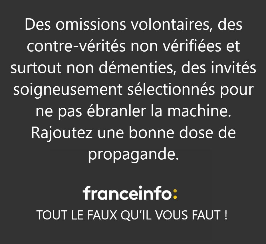 #FranceInfoPropagande #FranceInfo