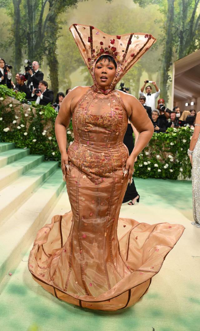Did they carry Lizzo up the stairs also?